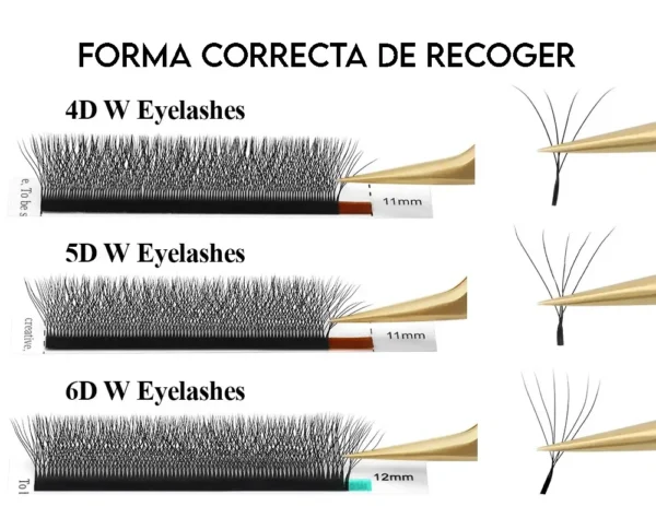 W-2 Blister Nagaraku 3D W